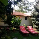 Erika * Gyula