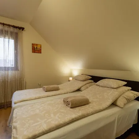 Erika Apartmanhaz Gyula